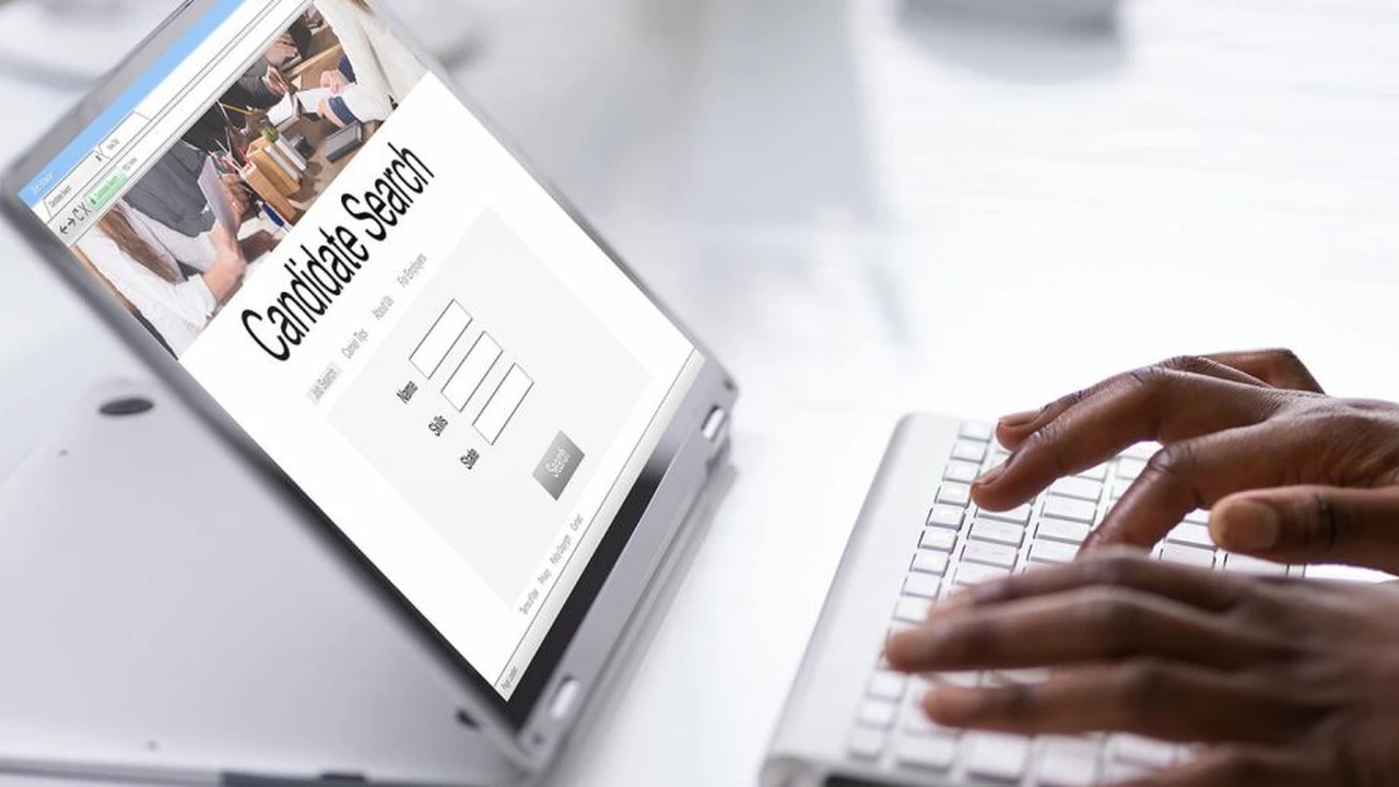 Two mint chocolate milkshakes with whipped cream and green sprinkles.
